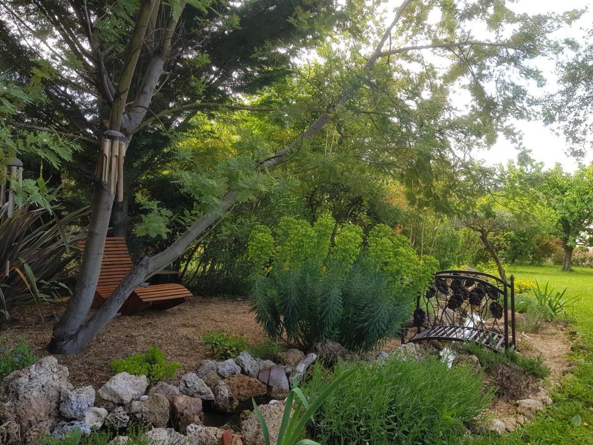 ساليرنيس Maison Mimosa المظهر الخارجي الصورة