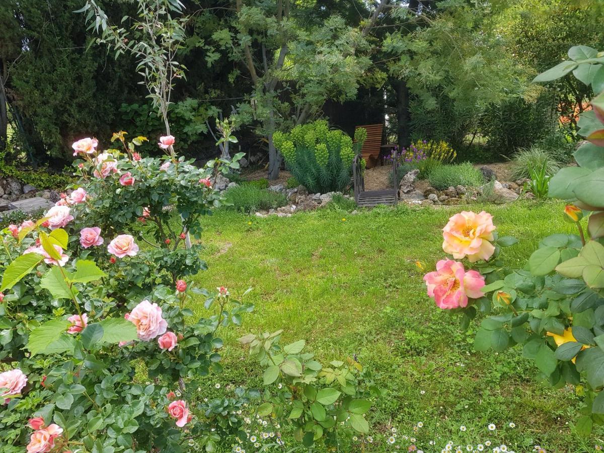 ساليرنيس Maison Mimosa المظهر الخارجي الصورة